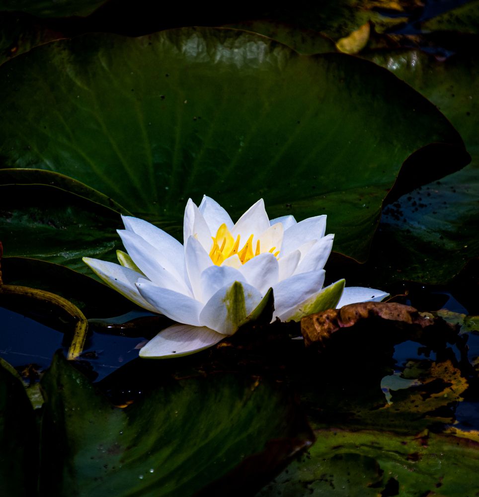 Photograph by Anna Prohorova