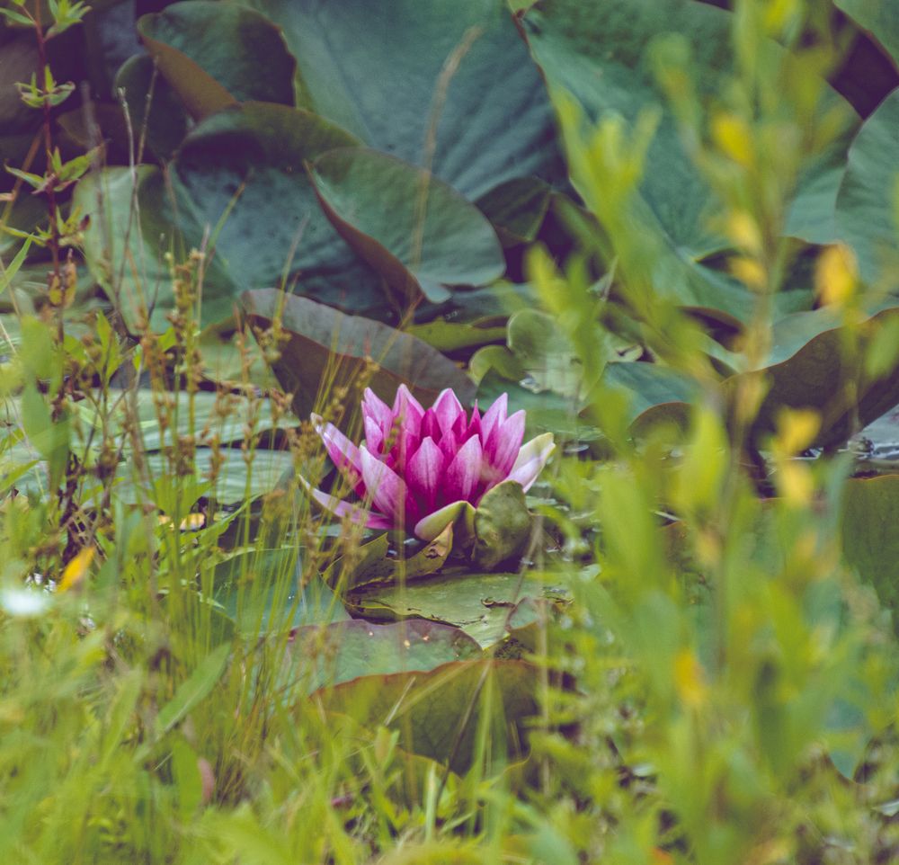 Photograph by Anna Prohorova