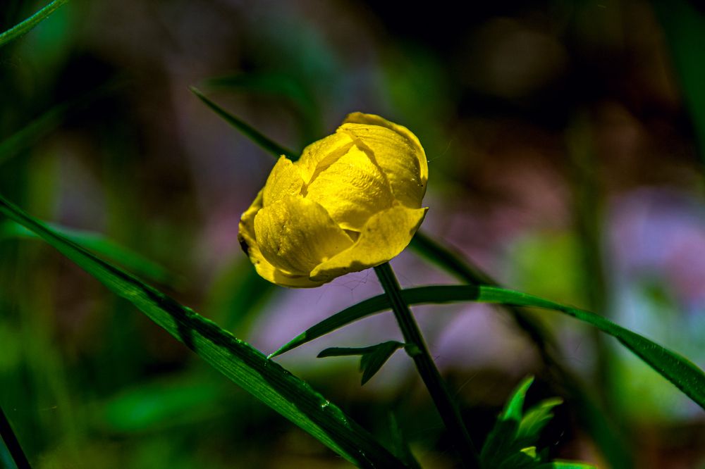 Photograph by Anna Prohorova