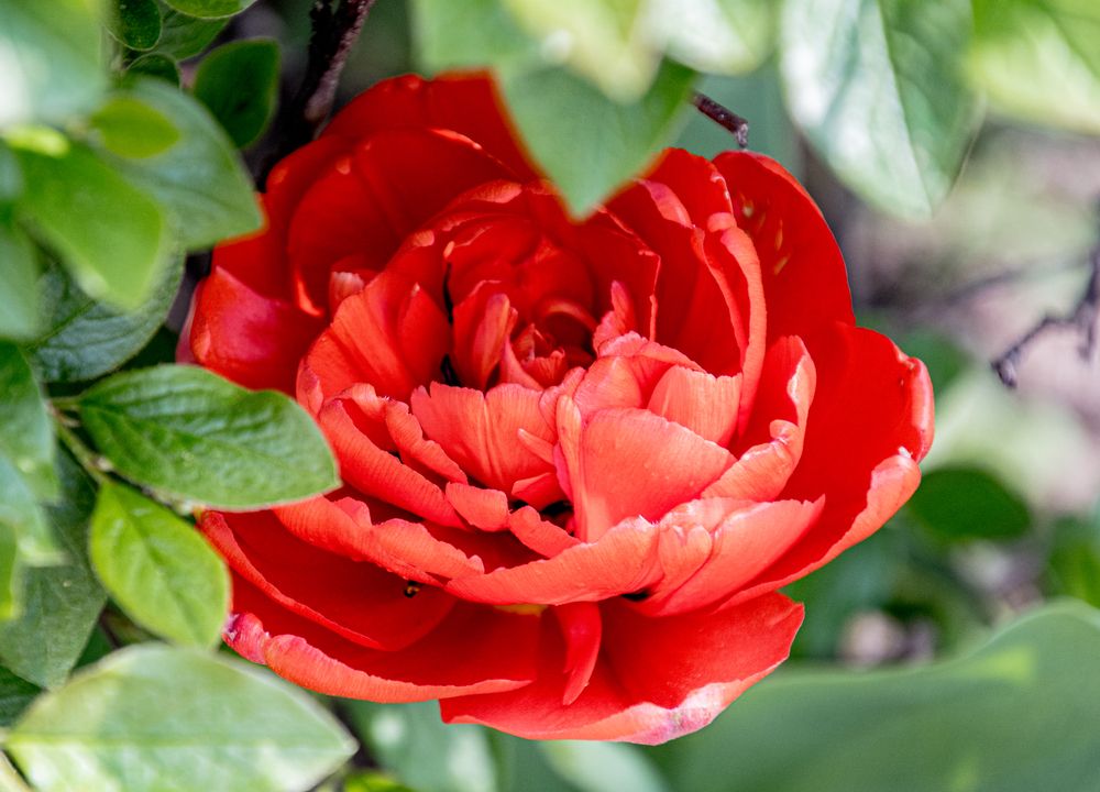 Photograph by Anna Prohorova