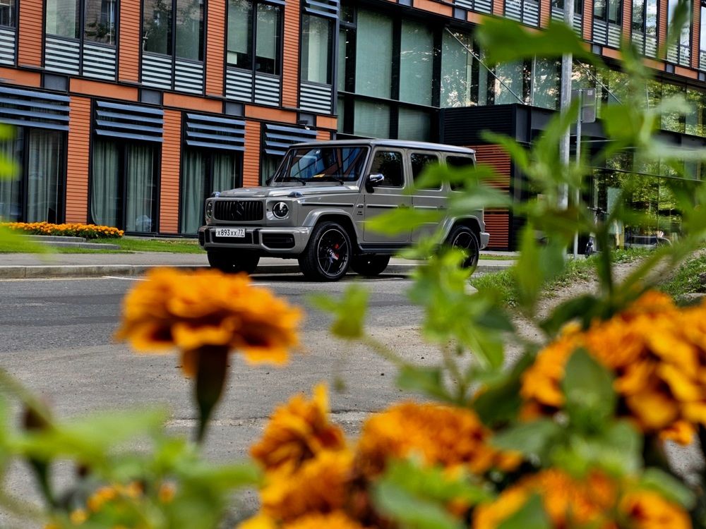 Фотография автора Maria Yakovleva