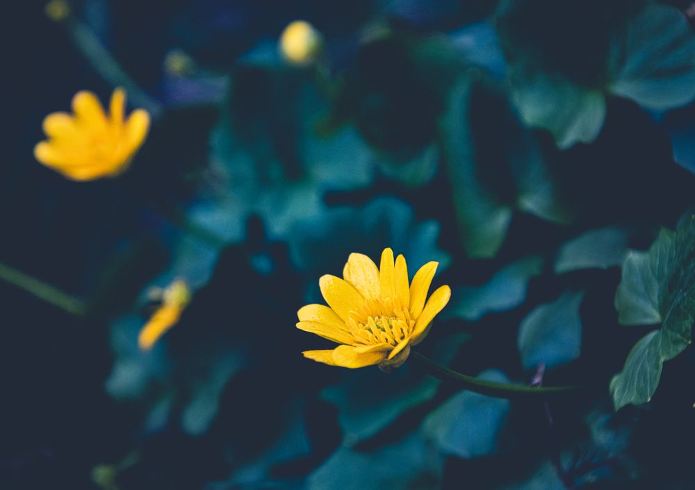 Photograph by Anna Prohorova