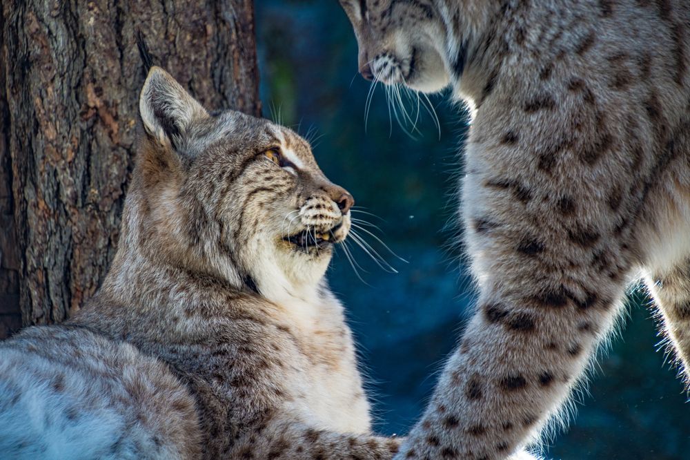 Photograph by Anna Prohorova