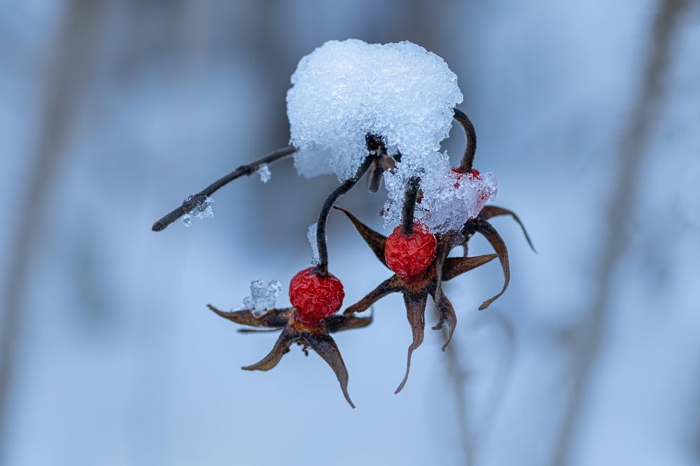 Photograph by Юлия Куликова