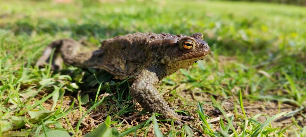 Photograph by Григорий Полосин