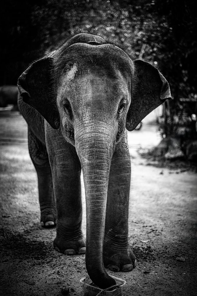 Photograph by Steffi Orduz