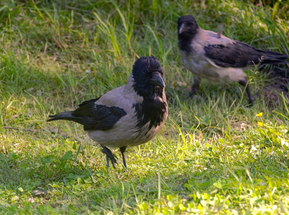 Photograph by Людмила Ваганова