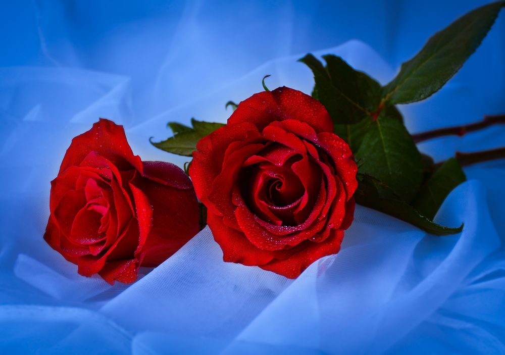 Photograph by Inna Ivanova