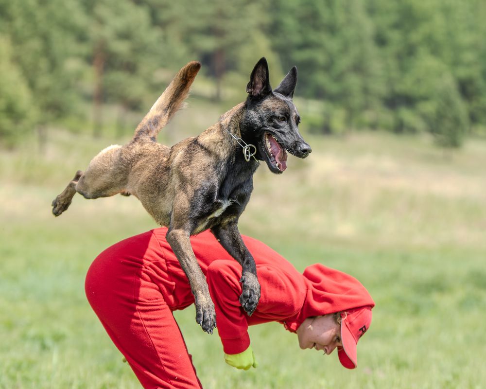 Photograph by Сергей Жиркевич