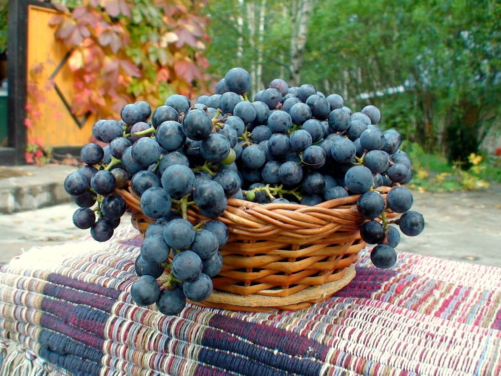 Photograph by Колесов Сергей