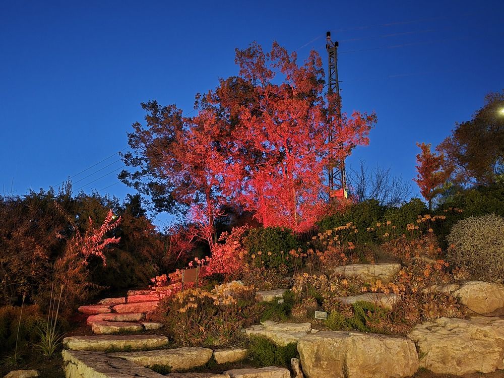 Photograph by Yulia Rotbach