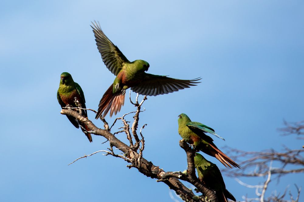 Photograph by Евгения Чех