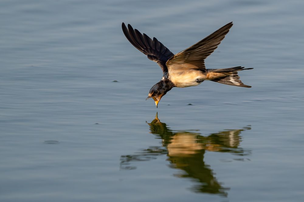 Photograph by Eren Aksoylu