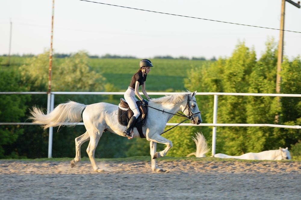Photograph by Сивакова Виктория