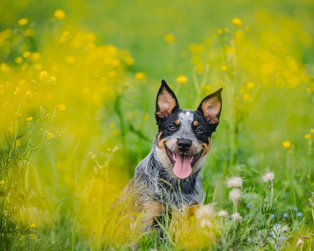 Photograph by Сергей Жиркевич