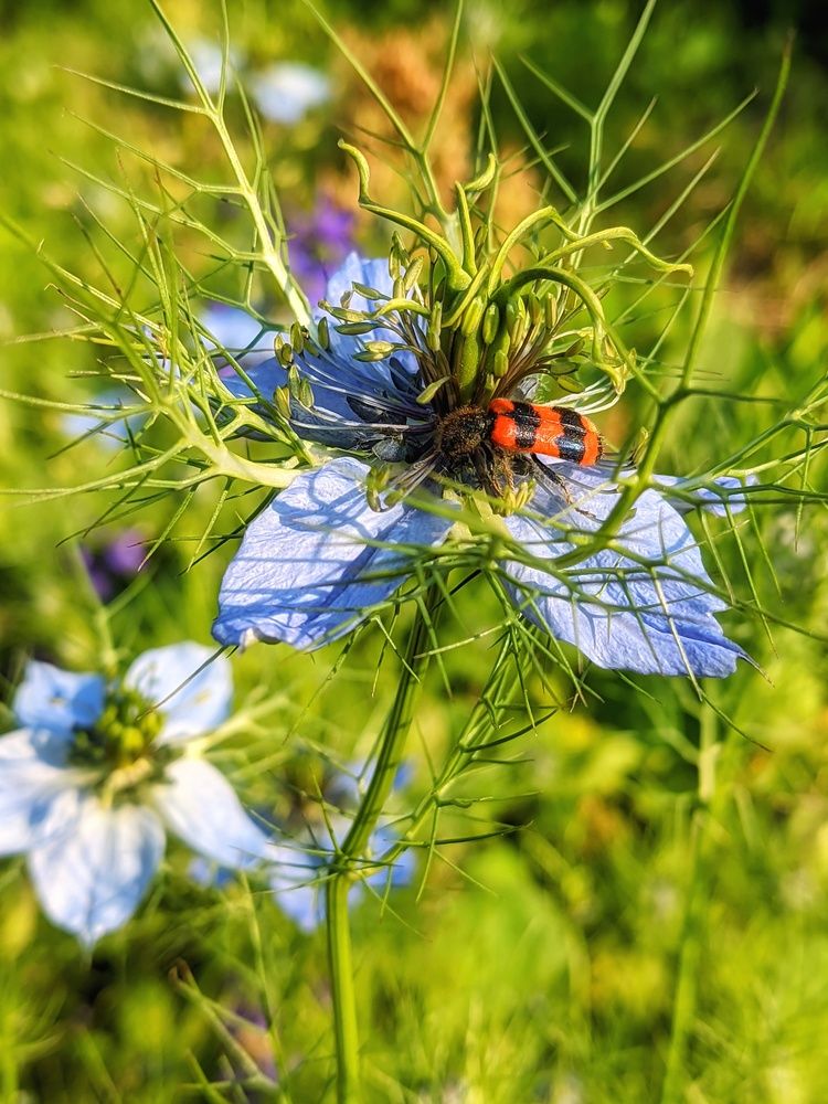 Photograph by Мария Широких
