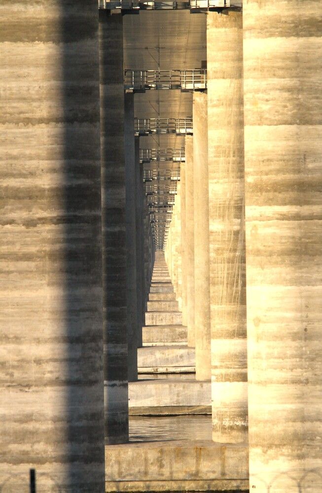 Фотография автора Татьяна Шебаршенко