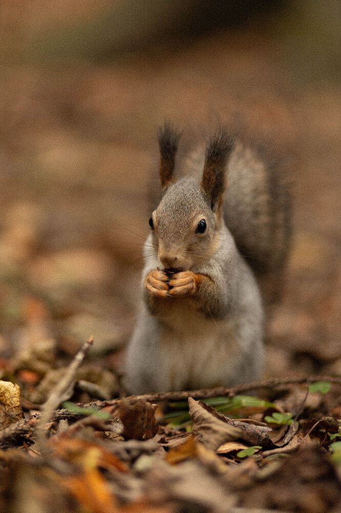 Photograph by Ирина Легкая
