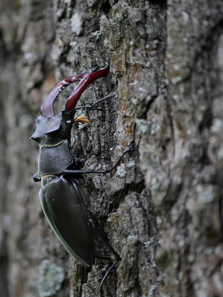 Photograph by Оксана Малахова