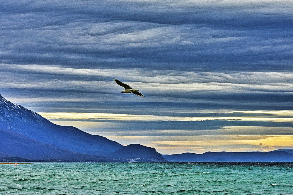 Photograph by Stojan Saveski