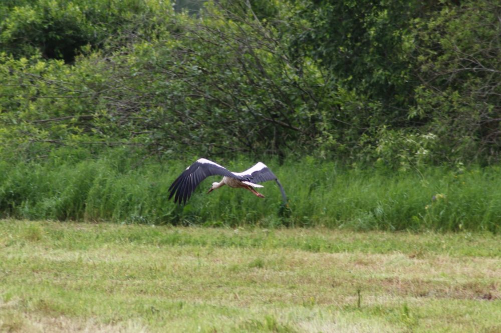 Photograph by Елена Наленч