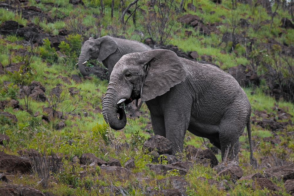 Photograph by Елена Захарова