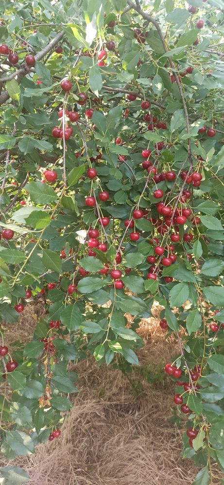 Photograph by Валерия Сопова