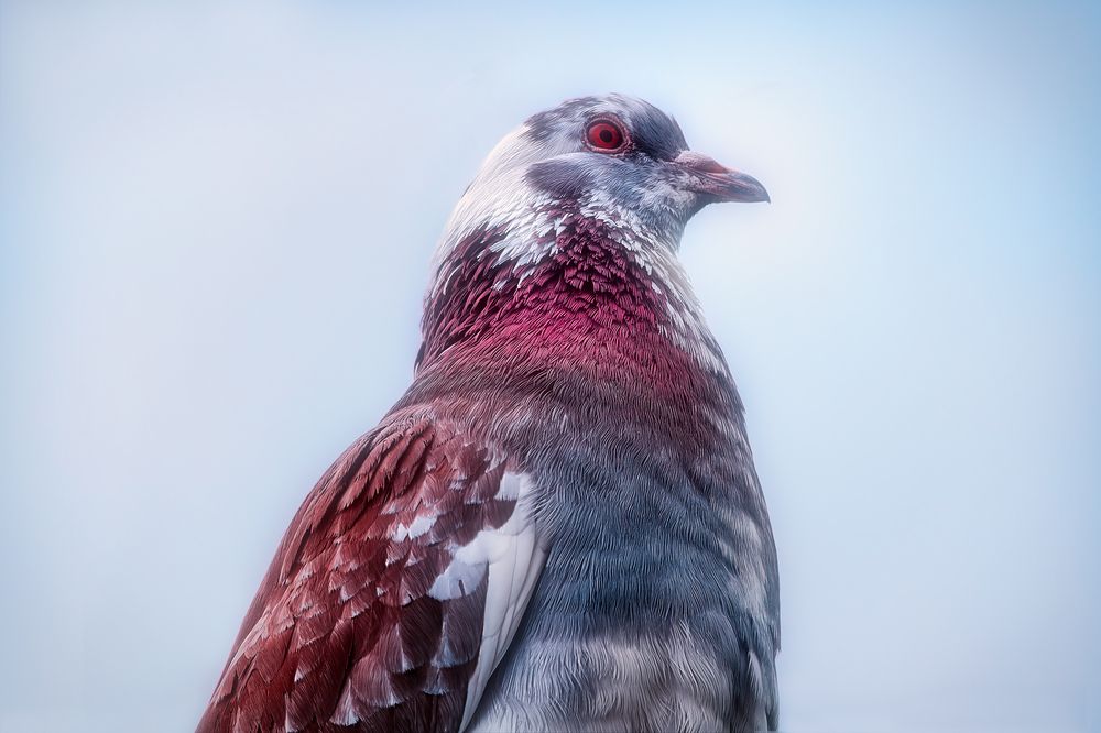 Photograph by Владимир Кваша