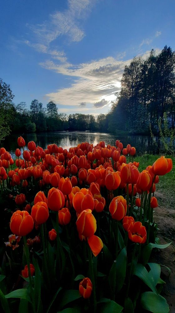 Photograph by Евгения Соловьева