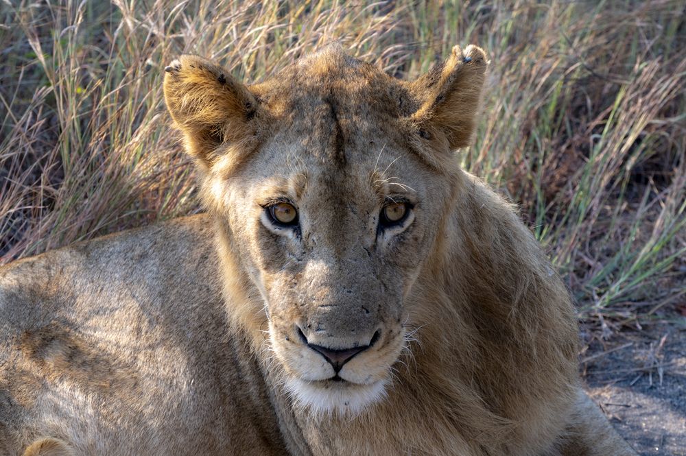 Photograph by Nikolay Isaakov