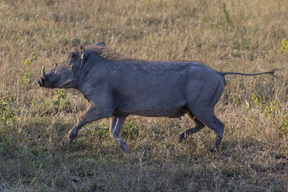 Photograph by Nikolay Isaakov