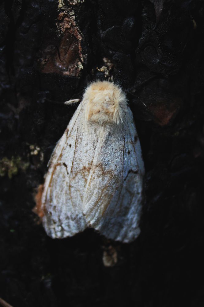 Photograph by Полина Овчинникова