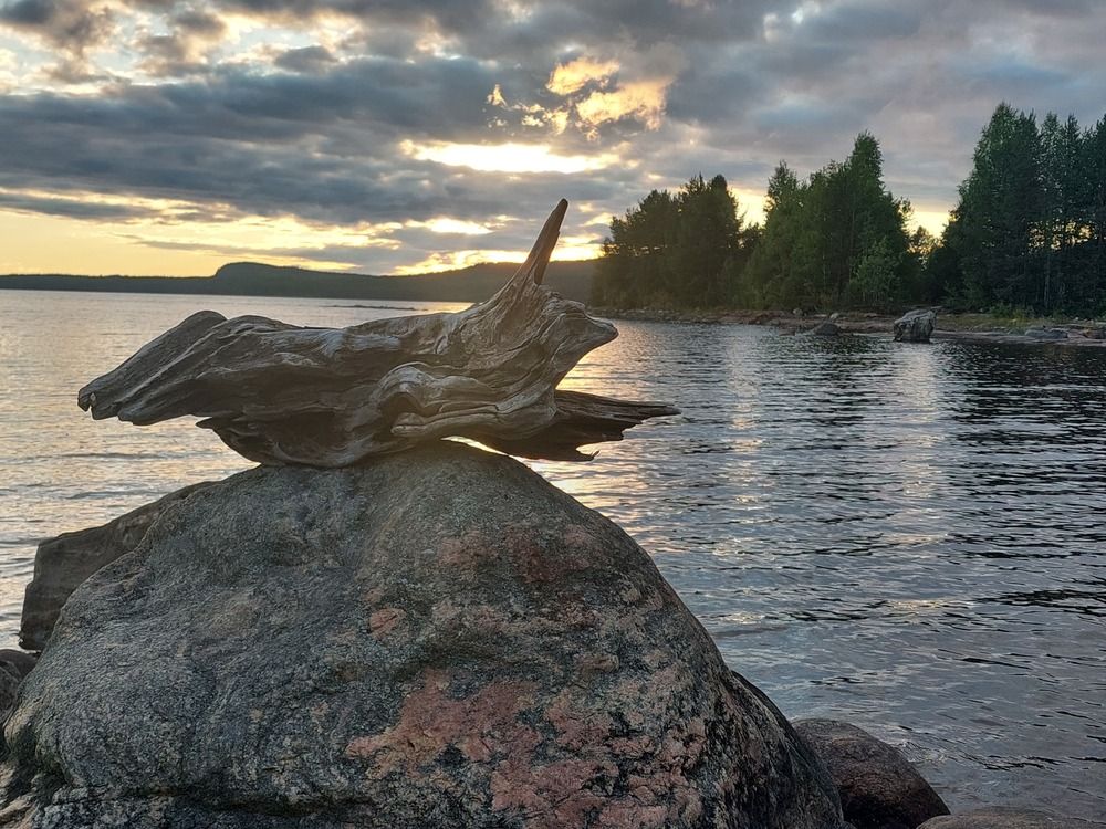деревянный зайчик перепрыгивает камень