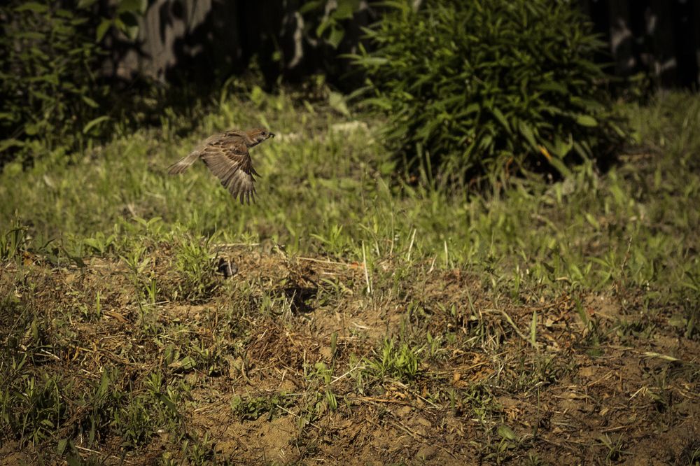 Photograph by Елена Фатьянова