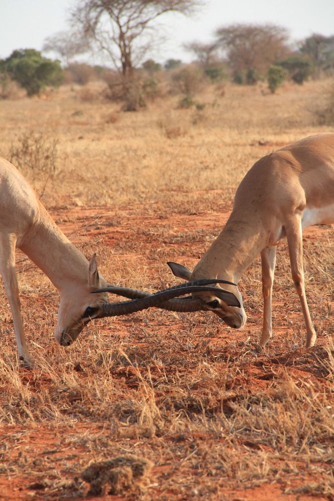 Photograph by sergio maritan