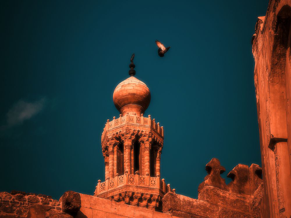 Photograph by NADER AYMAN