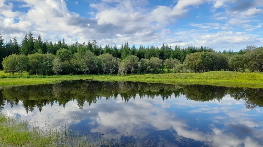 Отражение на воде.