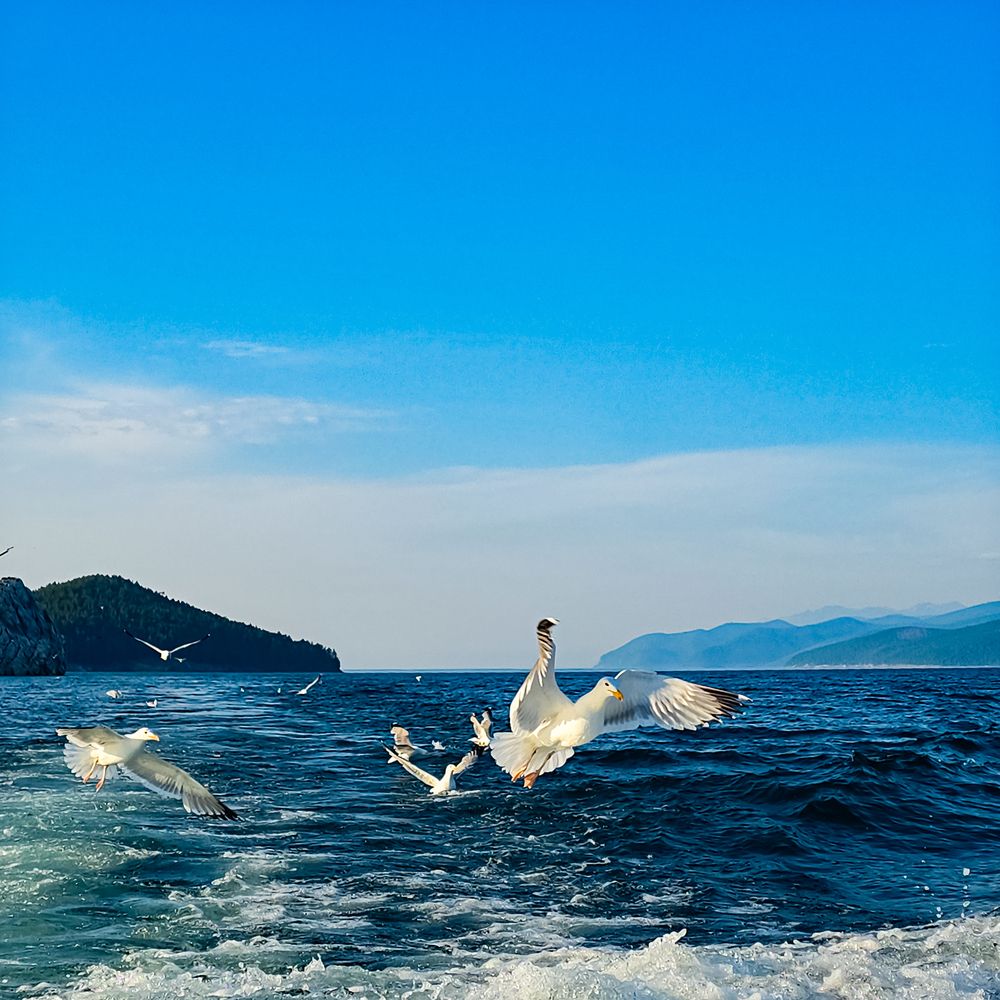 Фотография автора Нина Зинченко