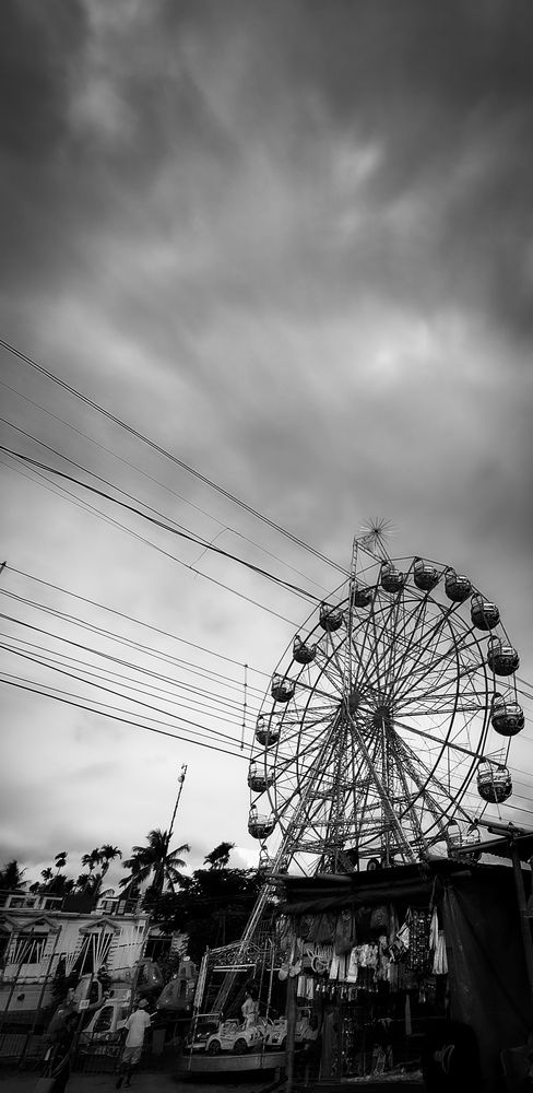 Photo #12353619