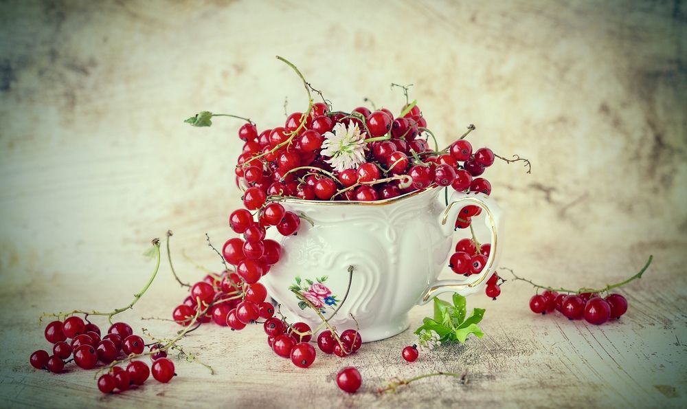 Photograph by Ольга Чибисова