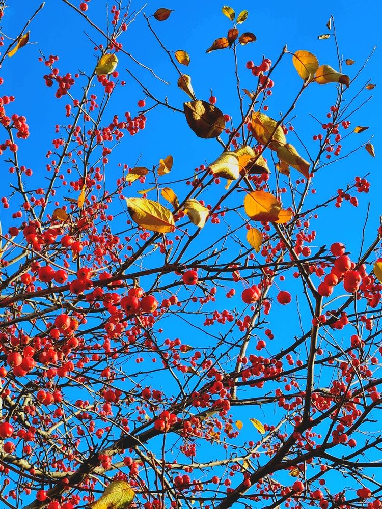 Photograph by Ирина Синягина