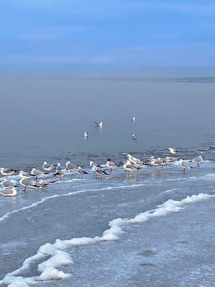 Photograph by Лидия Горностаева
