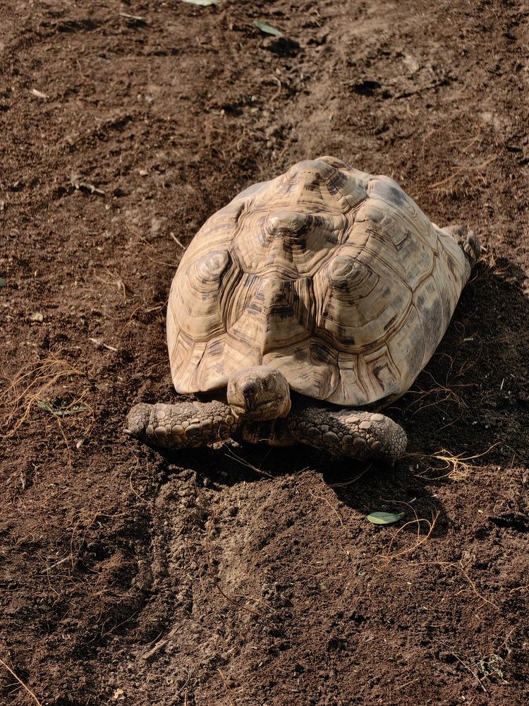Photograph by Veranika Siratsinina
