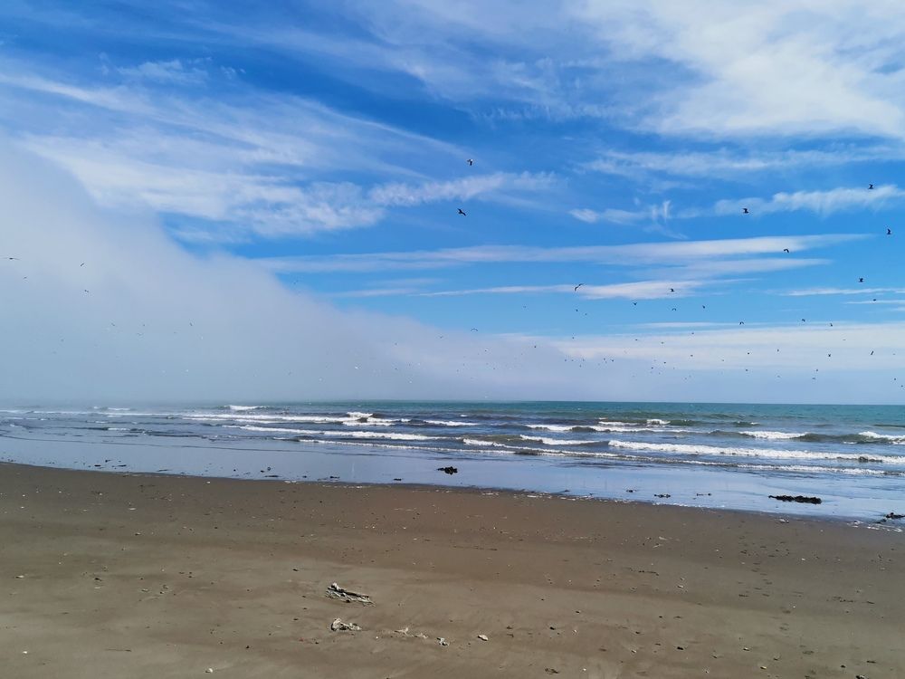 Photograph by Ольга Логарева