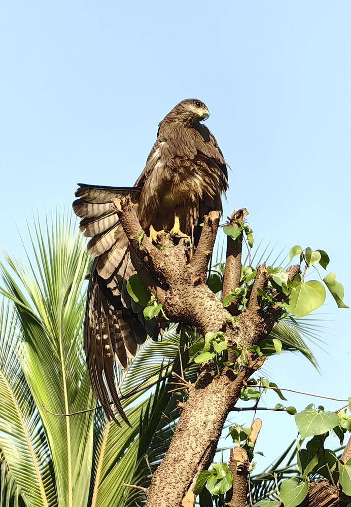 Photograph by Кристина Феминова