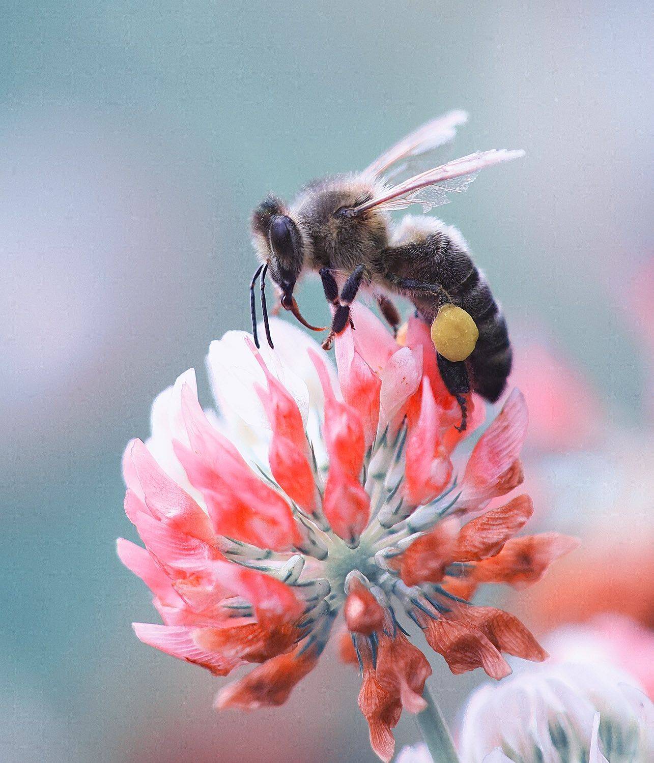 Фотография #12354112