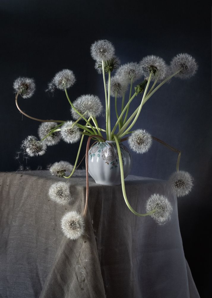 Photograph by Olga Akhmetova