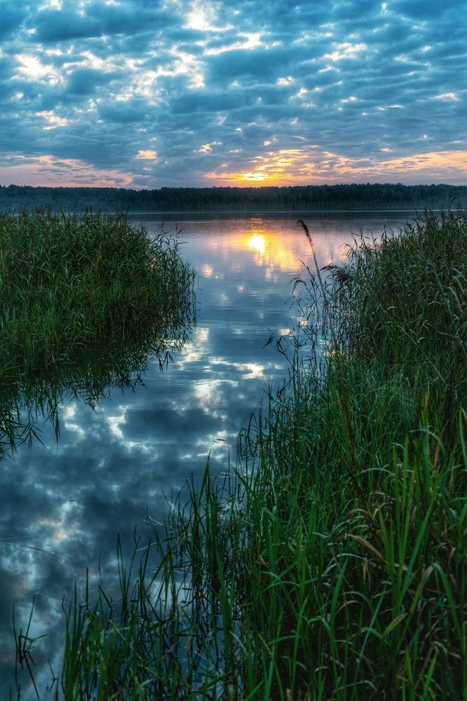 Photograph by Анастасия Глазюк