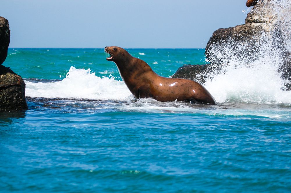 Фотография автора Elena Ku