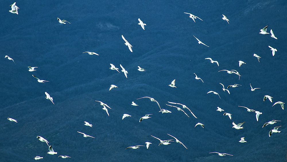 Photograph by Stojan Saveski